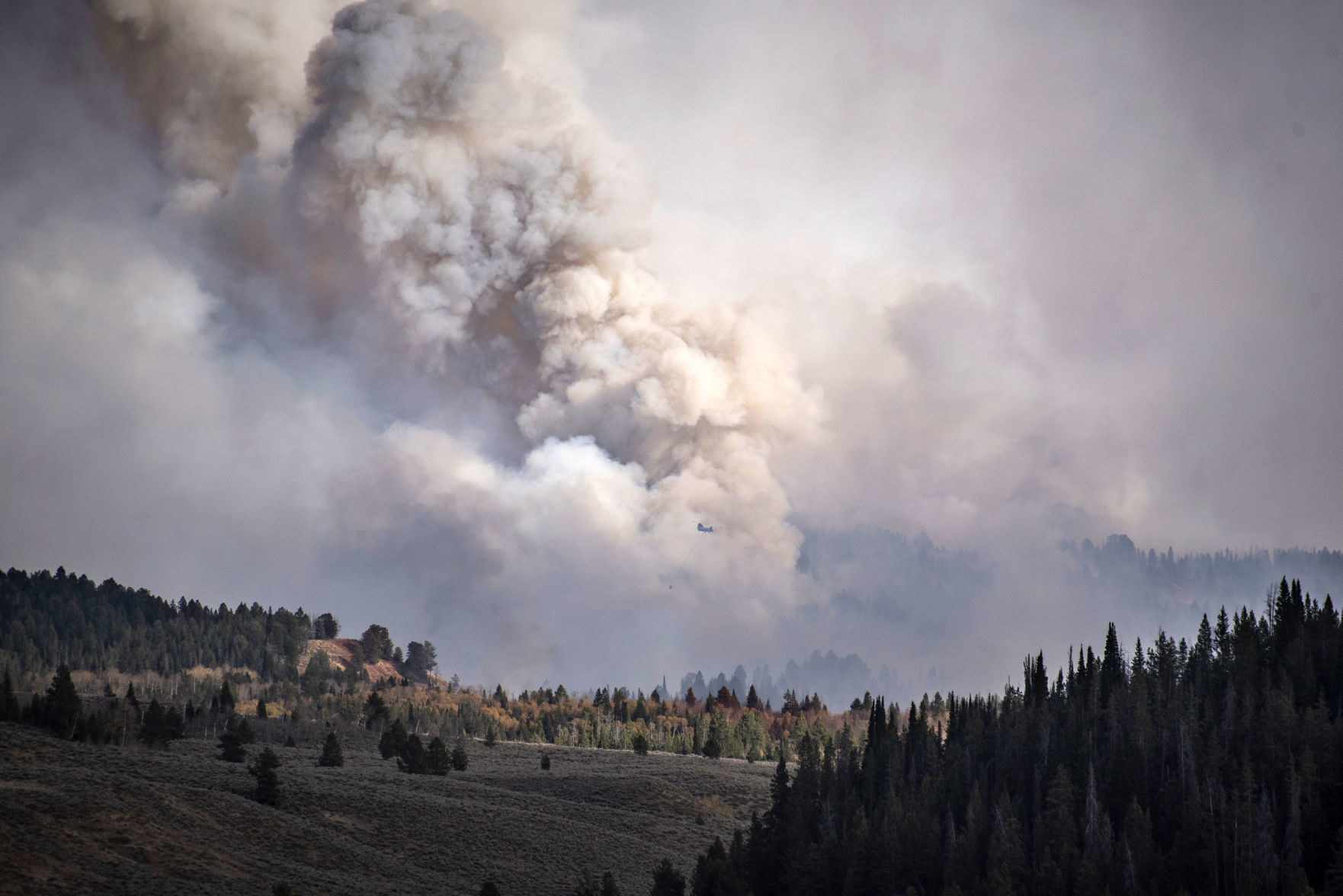 Roosevelt Fire